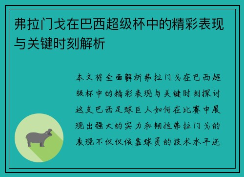 弗拉门戈在巴西超级杯中的精彩表现与关键时刻解析