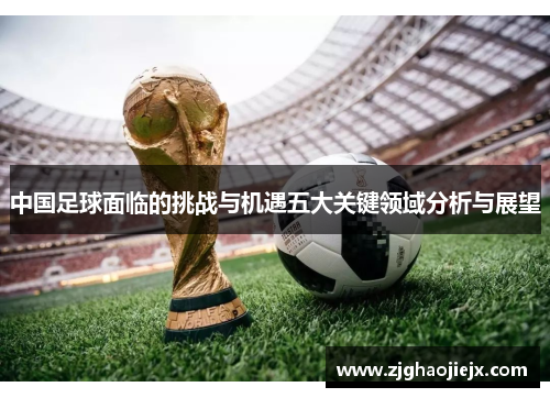 中国足球面临的挑战与机遇五大关键领域分析与展望