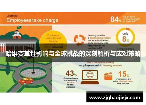 哈维变革性影响与全球挑战的深刻解析与应对策略