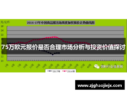 75万欧元报价是否合理市场分析与投资价值探讨