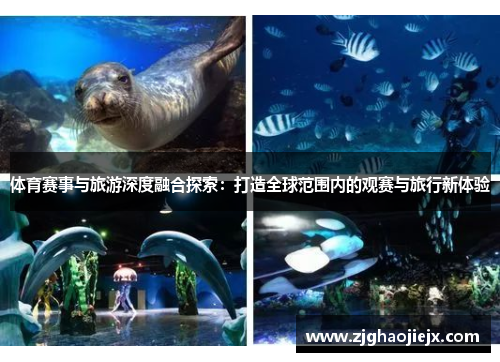 体育赛事与旅游深度融合探索：打造全球范围内的观赛与旅行新体验
