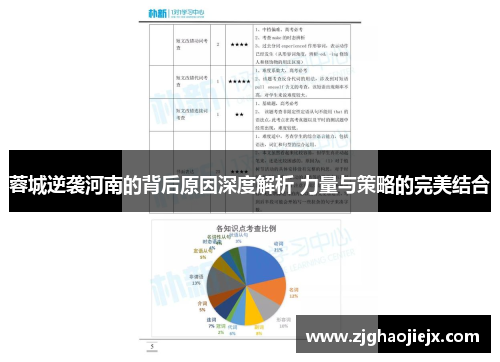 蓉城逆袭河南的背后原因深度解析 力量与策略的完美结合