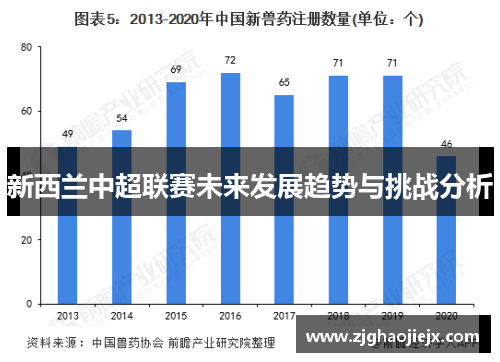 新西兰中超联赛未来发展趋势与挑战分析